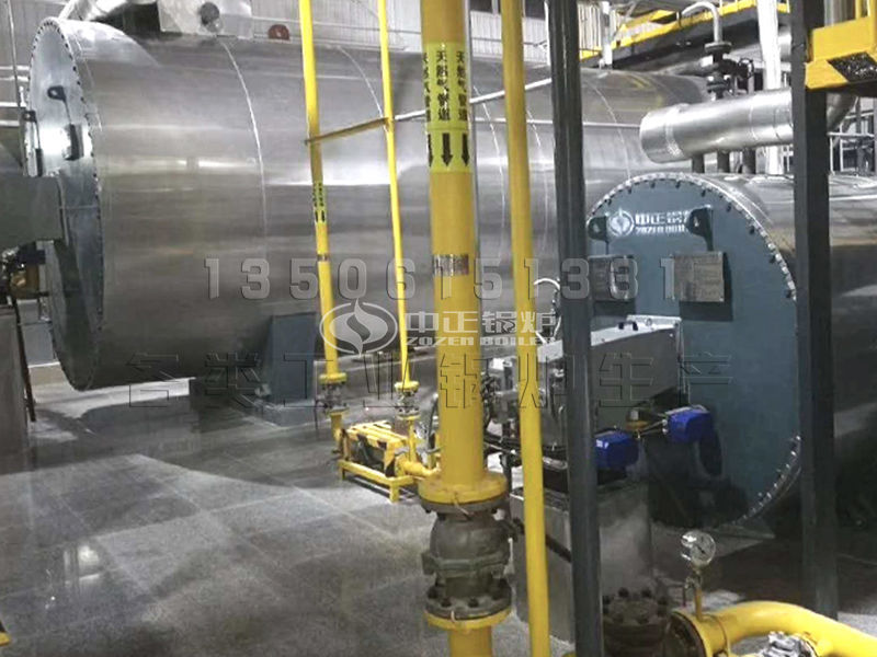 可燃生物質(zhì)鍋爐 價(jià)格